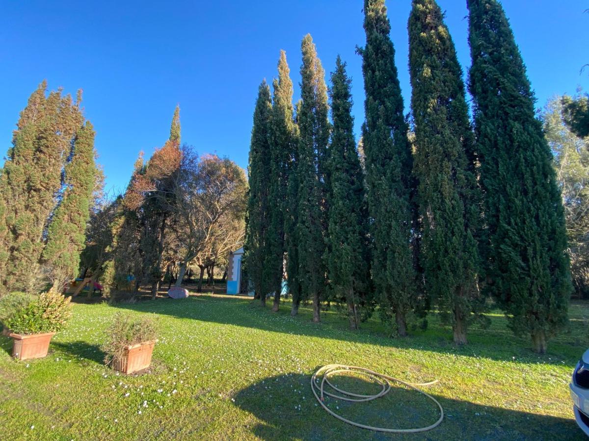 Agriturismo Le Biricoccole Vada Exterior foto