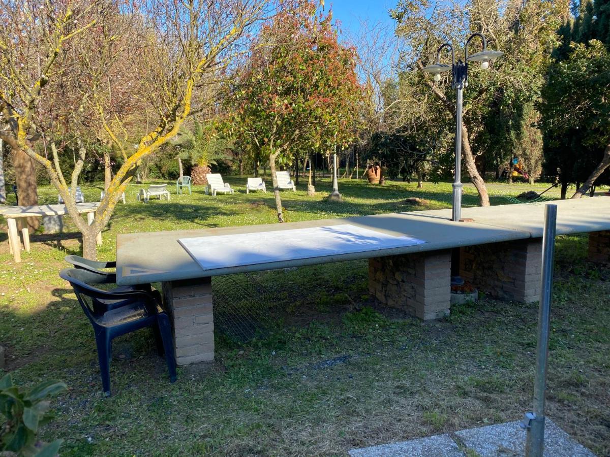 Agriturismo Le Biricoccole Vada Exterior foto