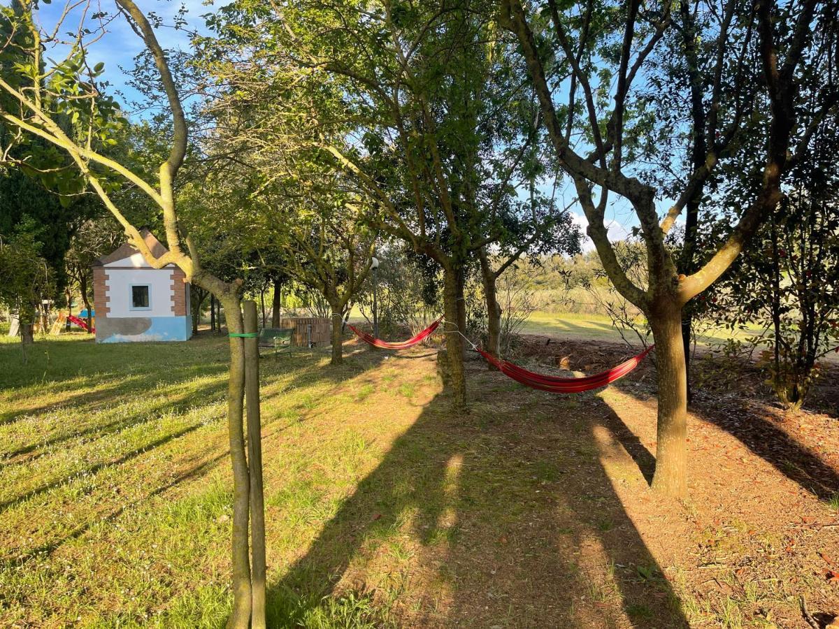 Agriturismo Le Biricoccole Vada Exterior foto